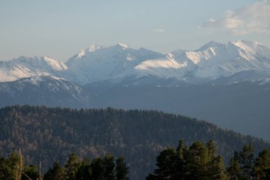 Dağ büyük Thach doğal park