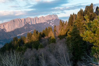 Dağ büyük Thach doğal park