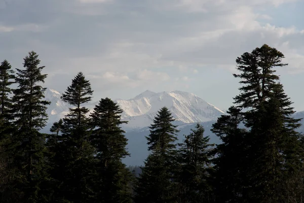 Dağ büyük Thach doğal park