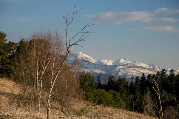 Dağ büyük Thach doğal park