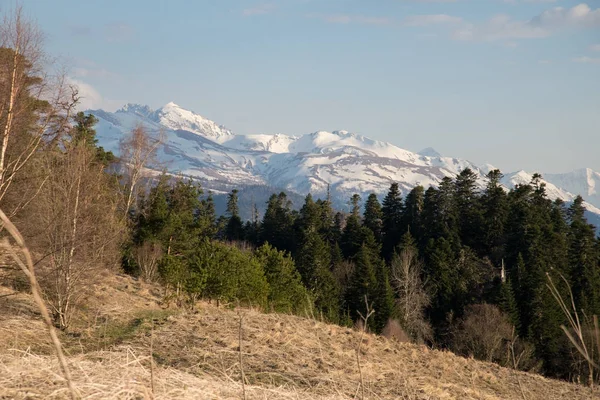 Die Bergkette des Naturparks Große Thach — Stockfoto
