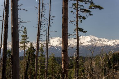 Dağ büyük Thach doğal park