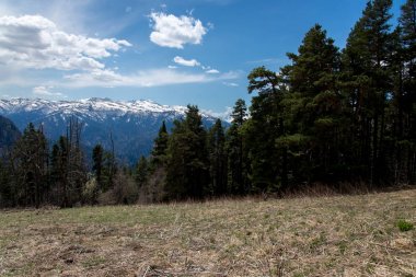 Dağ büyük Thach doğal park