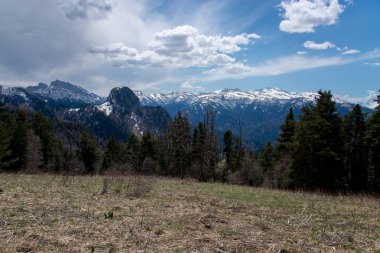 Dağ büyük Thach doğal park