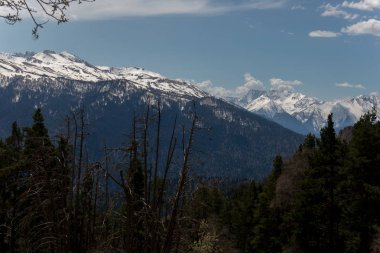 Dağ büyük Thach doğal park