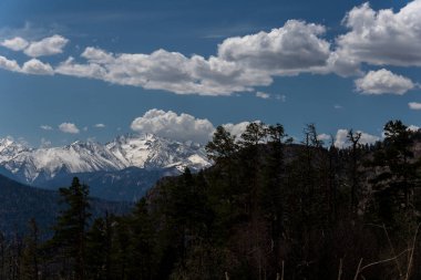 Dağ büyük Thach doğal park