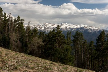 Dağ büyük Thach doğal park