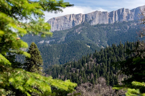 Dağ büyük Thach doğal park