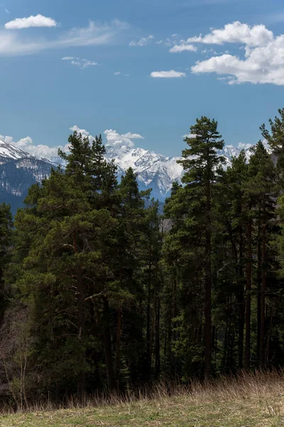Dağ büyük Thach doğal park