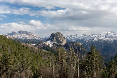 Dağ büyük Thach doğal park
