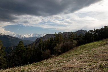 Dağ büyük Thach doğal park