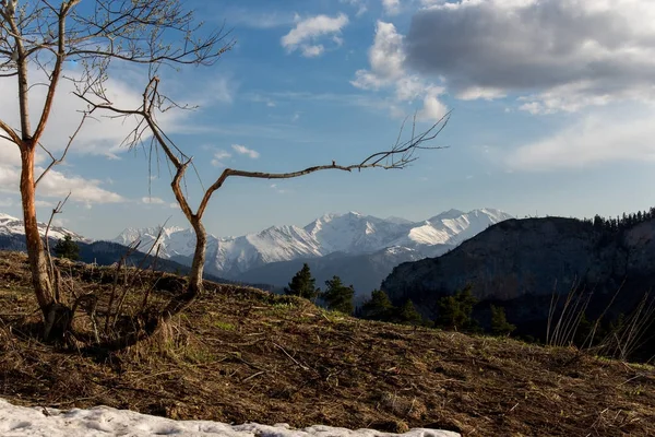 Dağ büyük Thach doğal park
