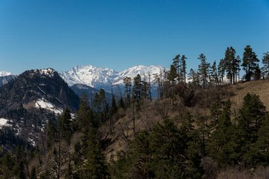Dağ büyük Thach doğal park