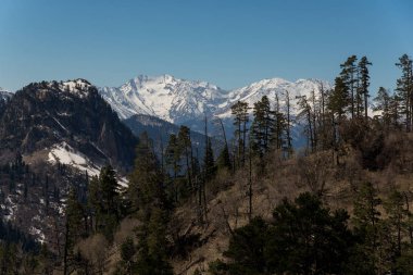 Dağ büyük Thach doğal park