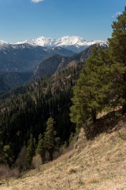 Dağ büyük Thach doğal park