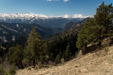 Dağ büyük Thach doğal park