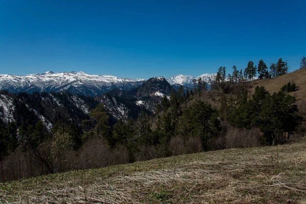 De bergketen van de grote Thach natuurpark — Stockfoto