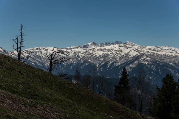 Dağ büyük Thach doğal park