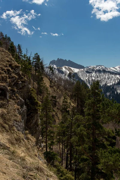 Die Bergkette des Naturparks Große Thach — Stockfoto