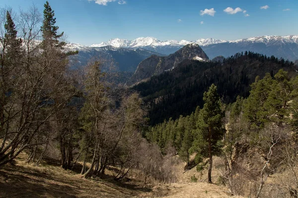 Dağ büyük Thach doğal park