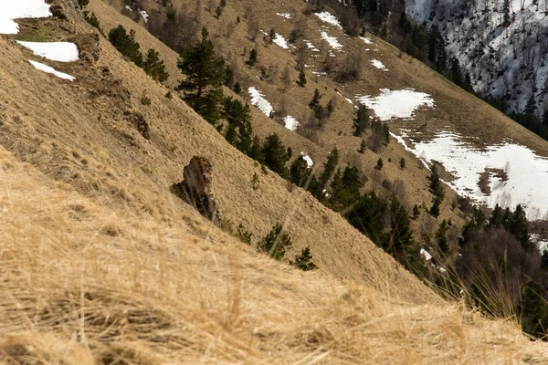 Die Bergkette des Naturparks Große Thach — Stockfoto