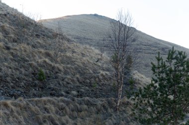 Dağ büyük Thach doğal park