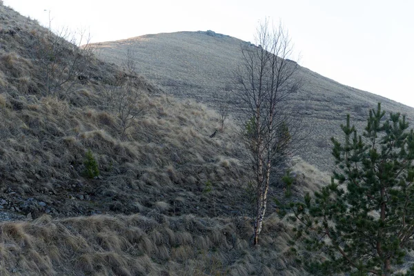 Dağ büyük Thach doğal park