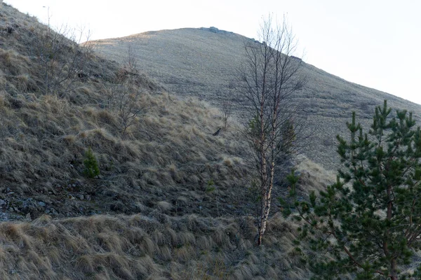 Dağ büyük Thach doğal park