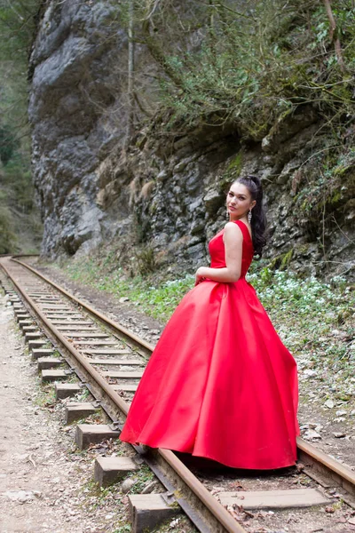 Ritratto Una Bella Ragazza Sulla Natura — Foto Stock