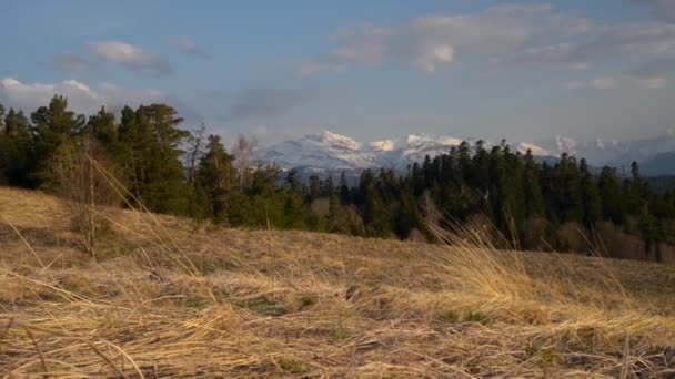 Cordilheira Parque Natural Big Thach Adygea — Vídeo de Stock