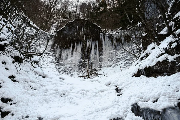 Zimní Kaňon Řeky Kurdzhips Guamská Rokle Rusko — Stock fotografie