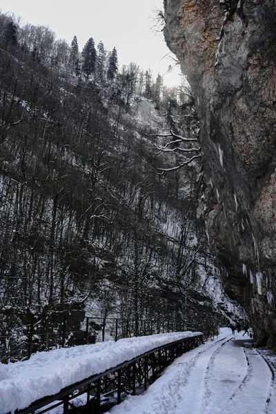 Die Winterschlucht Des Flusses Kurdschips Guam Schlucht Russland — Stockfoto