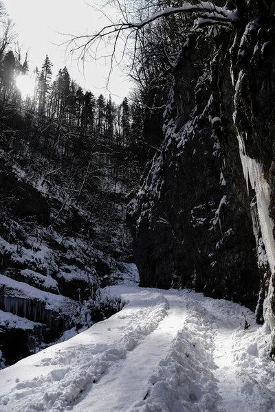 Kurdzhips河的冬季峡谷 关岛峡谷 俄罗斯 — 图库照片