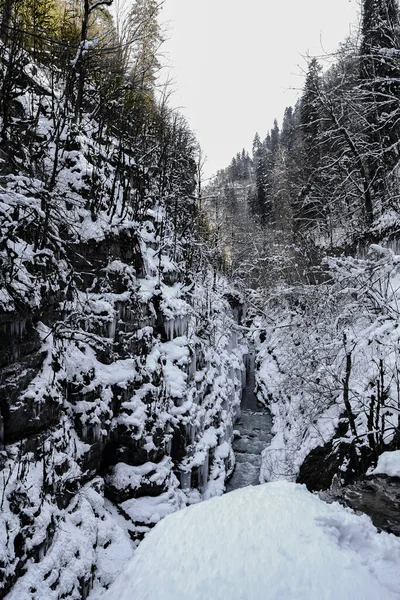 Zimní Kaňon Řeky Kurdzhips Guamská Rokle Rusko — Stock fotografie