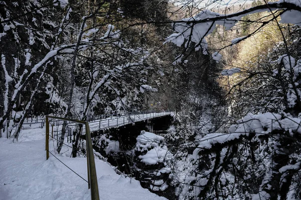 Cañón Invierno Del Río Kurdzhips Garganta Guam Rusia —  Fotos de Stock