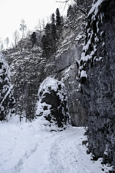 Cañón Invierno Del Río Kurdzhips Garganta Guam Rusia — Foto de Stock