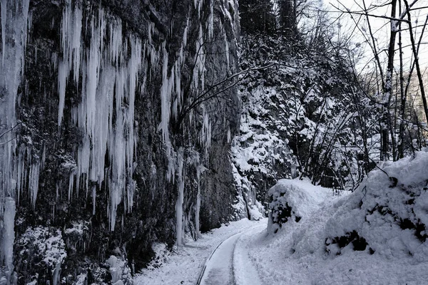 Die Winterschlucht Des Flusses Kurdschips Guam Schlucht Russland — Stockfoto