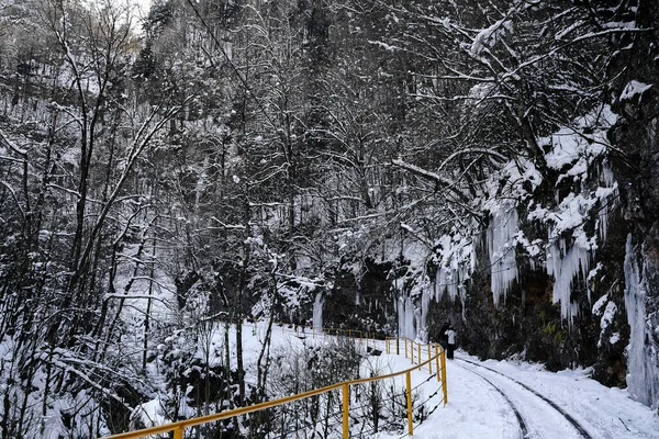 Desfiladeiro Inverno Rio Kurdzhips Garganta Guam Rússia Imagem De Stock