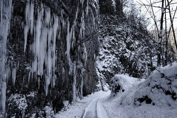 クルドシップス川の冬の峡谷 グアム峡谷 ロシア ロイヤリティフリーのストック写真