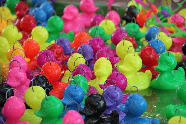 Colourful Plastic Ducks.