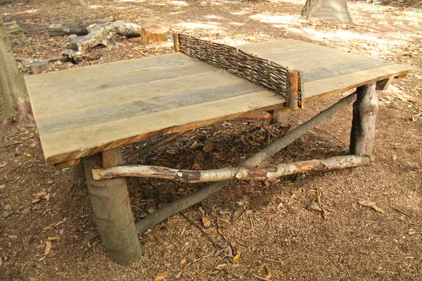 Tenis de mesa al aire libre . —  Fotos de Stock