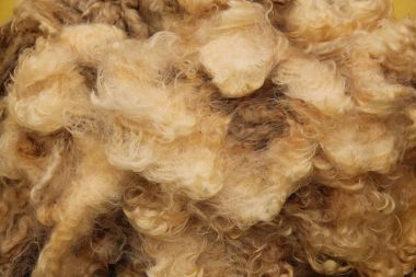 Yamultulmuş koyun yünü.