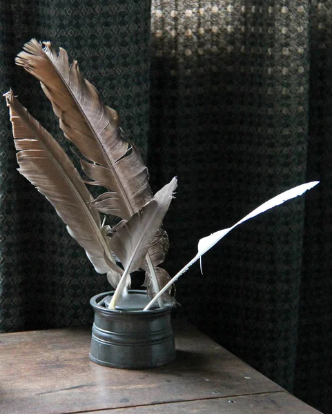 Перьевые ручки Квилла . — стоковое фото
