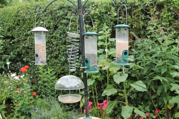 Uma Coleção Alimentadores Pássaros Pendurados Pequeno Jardim — Fotografia de Stock