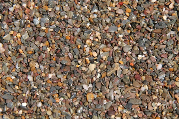 Uno Sfondo Bagnato Mare Spiaggia Ghiaia Pietre — Foto Stock