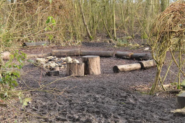 Woodland Setting Large Bonfire Circle Site — Stock fotografie