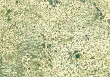 Yeşil Mermer etkileri ile kağıt arka plan dokulu
