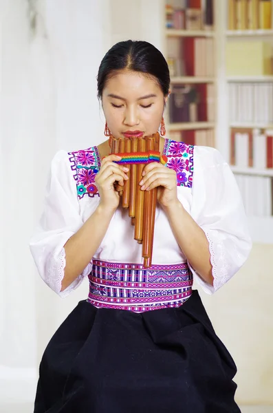 Retrato de una joven linda mujer vestida con hermosa ropa tradicional andina, sentada mientras toca la armónica, fondo de estanterías — Foto de Stock