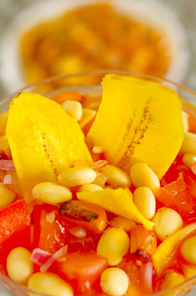 Plat traditionnel à base de tomate froide d'ecuadorian avec chochos, oignons et chips de banane, présentation élégante de restaurant — Photo