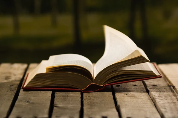 Thick book lying open on wooden surface, pages blowing in wind, beautiful night light setting, magic concept shoot — Stock Photo, Image